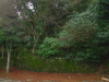 DSCN0034.JPG